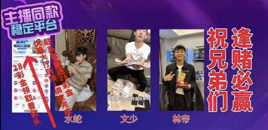网红同款，新人爆率拉满